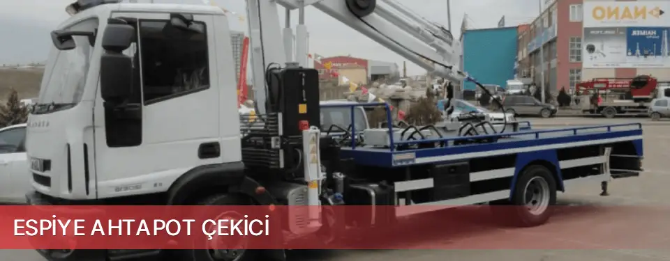 Espiye İlçemi Ahtapot Çekici