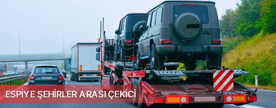 Espiye İlçemi Şehirler Arası Çekici